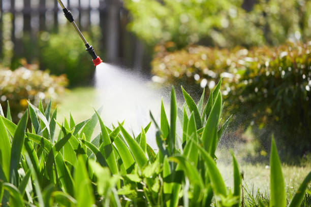 24/7 Emergency Mosquito Control experts in Brandenburg, KY