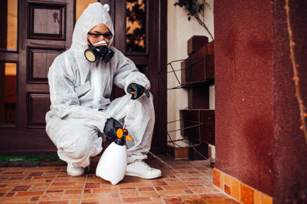 Reliable Mosquito Control contractor in Brandenburg, KY by Show Me Pest Control
